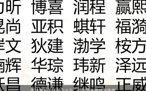 男孩带毅字好名字大全  毅字取名男孩有寓意 2024有个性寓意的带字男孩名字大全最新