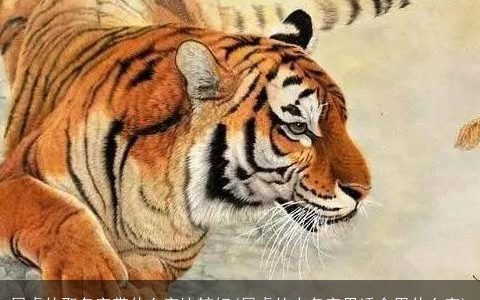 属虎的取名字带什么字比较好(属虎的人名字里适合用什么字)