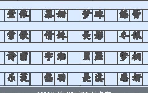 2024姓徐男孩好听的名字