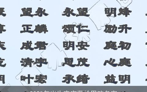 2024年出生宝宝葛姓男孩名字