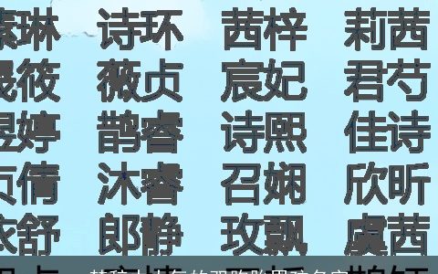 楚辞中大气的双胞胎男孩名字