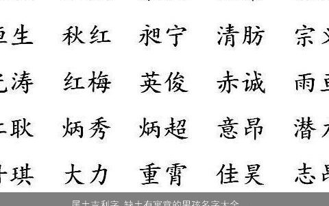 属土吉利字 缺土有寓意的男孩名字大全  取名网 吉利寓意的五行缺土的男孩名字大全