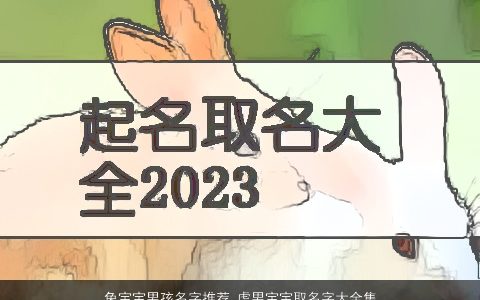 兔宝宝男孩名字推荐 虎男宝宝取名字大全集 有涵养新颖的兔宝宝男孩虎男宝宝名字大全