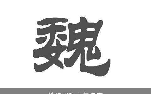 姓魏男孩大气名字