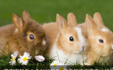 男宝宝起名大全2024属兔 取名精选寓意有才华