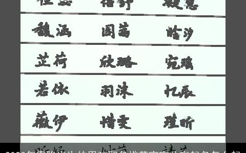 2024年霜降出生的男孩取名推荐宝宝八字起名怎么起