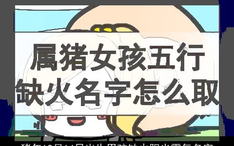 猪年12月14日出生男孩缺火阳光霸气名字