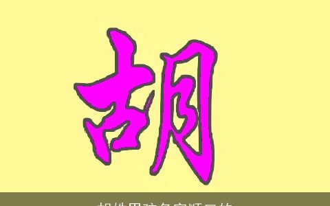 胡姓男孩名字顺口的