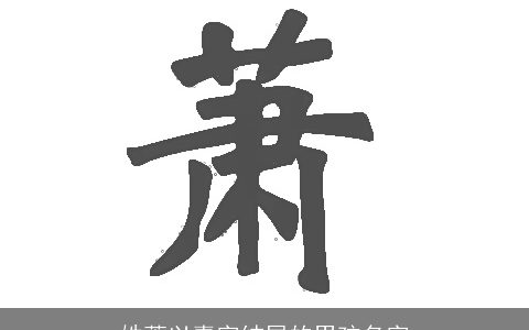 姓萧以嘉字结尾的男孩名字