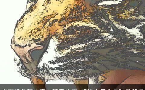 虎宝起名带山带木带王的字 好听大气今年孩子起名