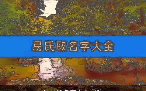易姓取名字大全男孩