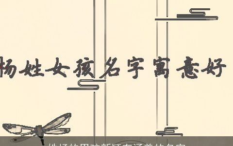 姓杨的男孩新颖有涵养的名字