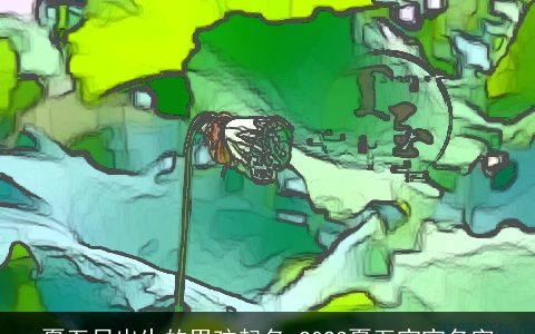 夏至日出生的男孩起名 2023夏至宝宝名字