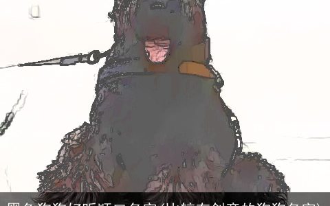 黑色狗狗好听顺口名字(比较有创意的狗狗名字)