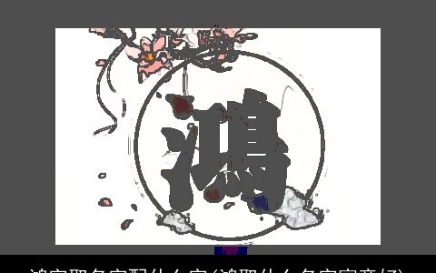 鸿字取名字配什么字(鸿取什么名字寓意好)