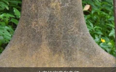 木字的寓意和象征