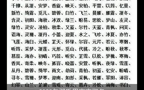 2024年邓氏男宝宝取名