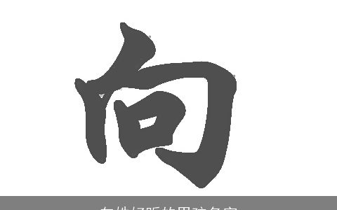 向姓好听的男孩名字