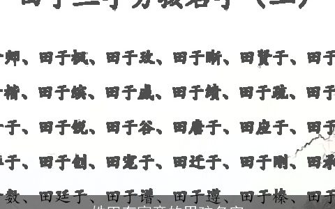 姓田有寓意的男孩名字