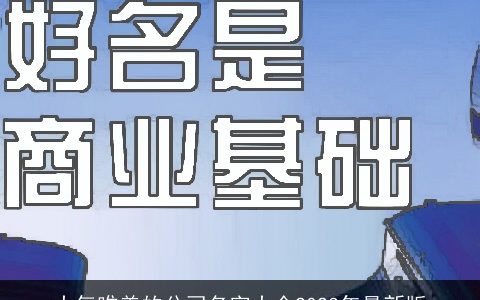 大气唯美的公司名字大全2024年最新版