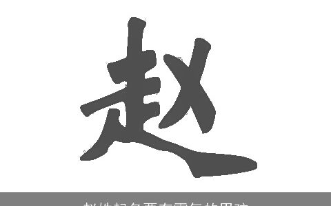 赵姓起名要有霸气的男孩