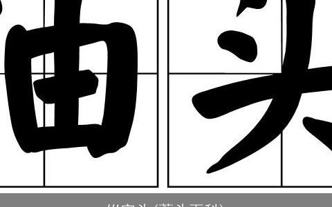 巛字头(藠头百科)