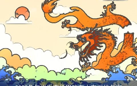 2024兔年出生李姓男孩有山有树的名字