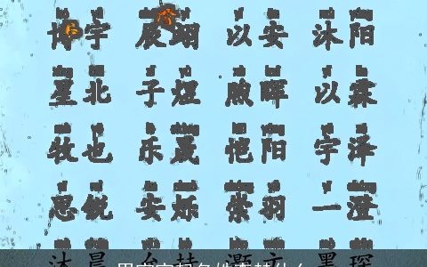 男宝宝起名姓李赫什么