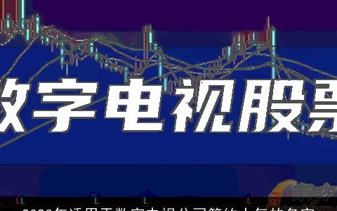 2024年适用于数字电视公司简约大气的名字