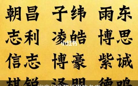 寓意好的黎姓男孩名字