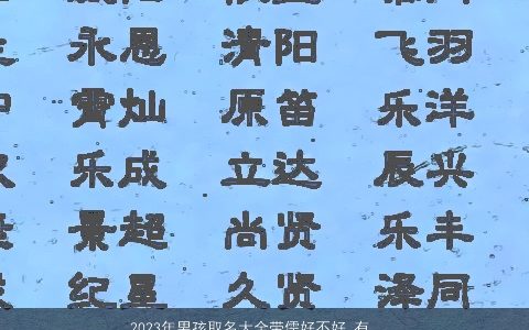 2023年男孩取名大全带儒好不好 有文化有内涵 新颖内涵的带儒字男孩名字