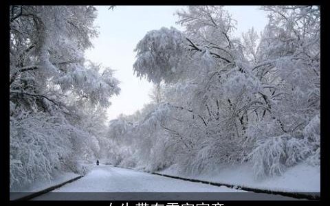 女生带有雪字寓意