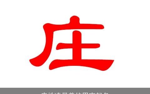 庄姓凌晨养的男宝起名