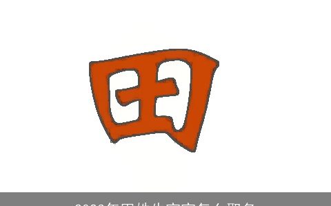 2024年田姓龙宝宝怎么取名