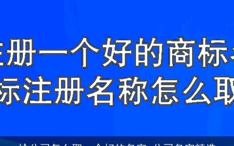 给公司怎么取一个好的名字 公司名字精选