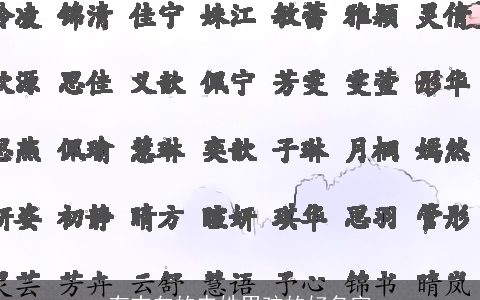 有志向的申姓男孩的好名字