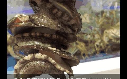 动物名字取洋气点的(含有海洋的成语)