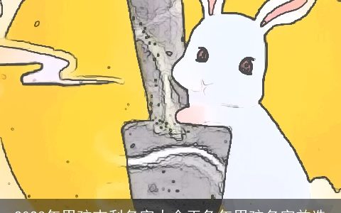 2023年男孩吉利名字大全玉兔年男孩名字首选