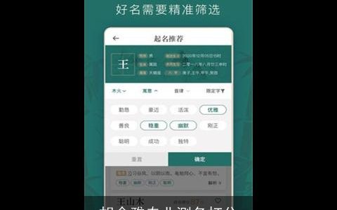 胡念雅专业测名打分