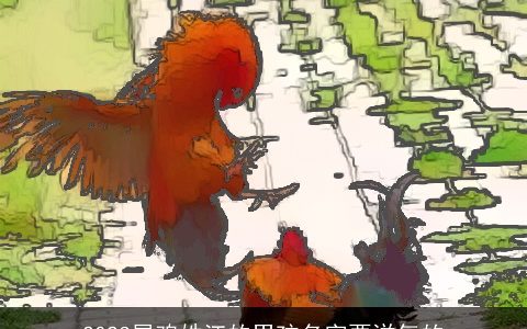 2023属鸡姓江的男孩名字要洋气的