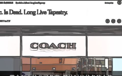 带金和土的公司名字 简约时尚的名称合集