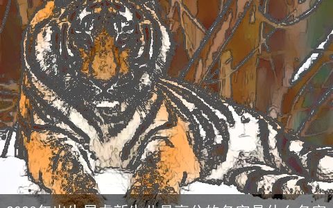 2023年出生属虎新生儿最高分的名字是什么名字