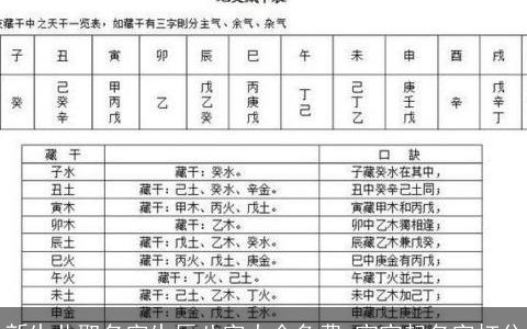新生儿取名字生辰八字大全免费 宝宝起名字打分