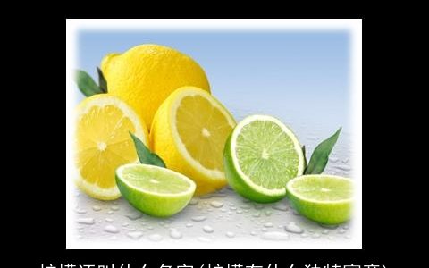 柠檬还叫什么名字(柠檬有什么独特寓意)