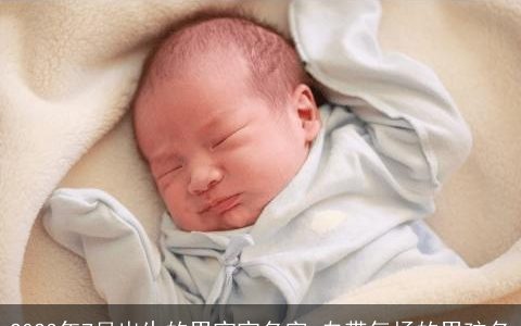 2023年7月出生的男宝宝名字 自带气场的男孩名