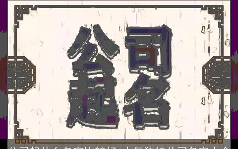 公司起什么名字比较好 大气独特公司名字大全