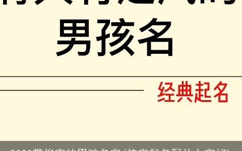 2023带俊字的男孩名字(佳字起名配什么字好)