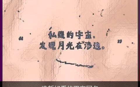 清新好看的四字网名