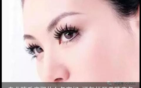 专业睫毛店取什么名字好 洋气悦耳美睫店名