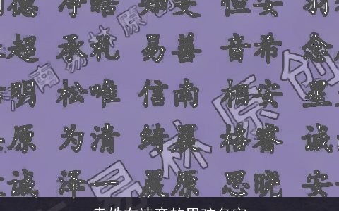 袁姓有诗意的男孩名字